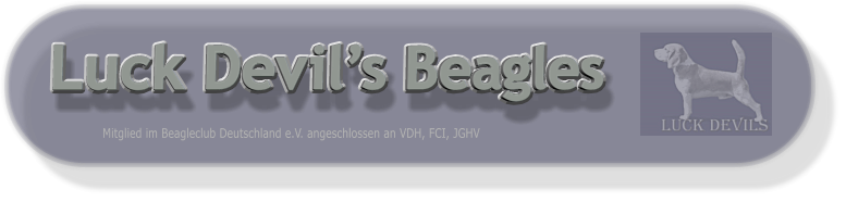 Luck Devils Beagles Mitglied im Beagleclub Deutschland e.V. angeschlossen an VDH, FCI, JGHV
