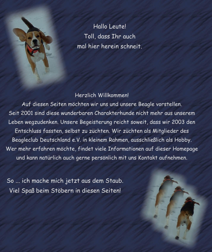 So ... ich mache mich jetzt aus dem Staub. Viel Spa beim Stbern in diesen Seiten! Hallo Leute!  Toll, dass Ihr auch  mal hier herein schneit. Herzlich Willkommen! Auf diesen Seiten mchten wir uns und unsere Beagle vorstellen.  Seit 2001 sind diese wunderbaren Charakterhunde nicht mehr aus unserem Leben wegzudenken. Unsere Begeisterung reicht soweit, dass wir 2003 den Entschluss fassten, selbst zu zchten. Wir zchten als Mitglieder des Beagleclub Deutschland e.V. in kleinem Rahmen, ausschlielich als Hobby.  Wer mehr erfahren mchte, findet viele Informationen auf dieser Homepage und kann natrlich auch gerne persnlich mit uns Kontakt aufnehmen.