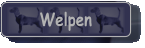 Welpen