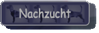 Nachzucht