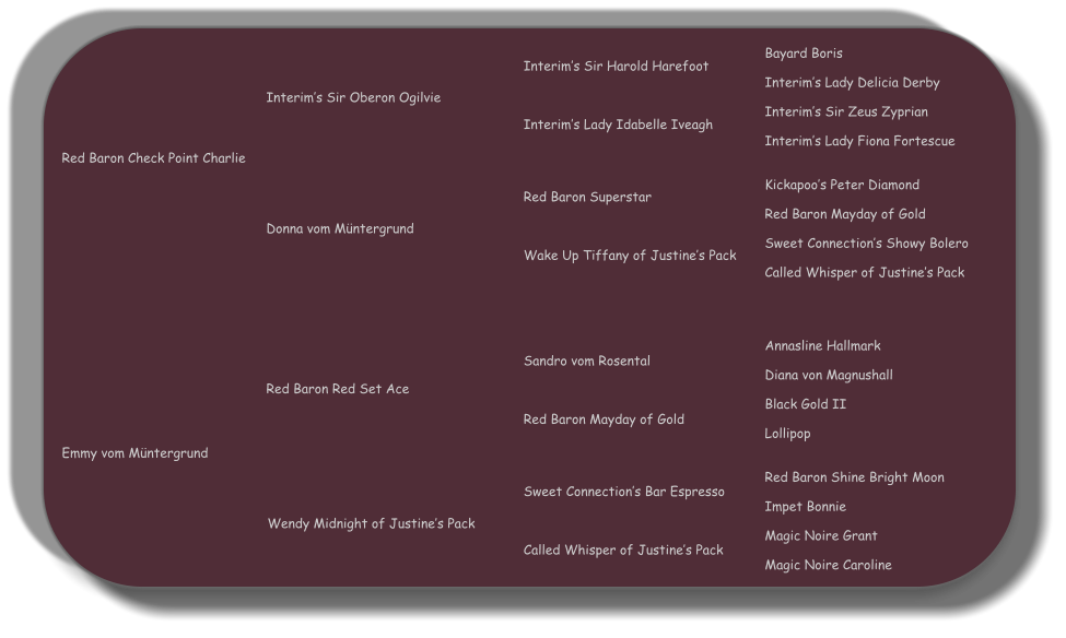 Bayard Boris  Interims Lady Delicia Derby  Interims Sir Zeus Zyprian  Interims Lady Fiona Fortescue   Kickapoos Peter Diamond  Red Baron Mayday of Gold   Sweet Connections Showy Bolero  Called Whisper of Justines Pack Annasline Hallmark  Diana von Magnushall  Black Gold II  Lollipop   Red Baron Shine Bright Moon  Impet Bonnie  Magic Noire Grant  Magic Noire Caroline Interims Sir Harold Harefoot    Interims Lady Idabelle Iveagh Red Baron Superstar    Wake Up Tiffany of Justines Pack Sandro vom Rosental    Red Baron Mayday of Gold Sweet Connections Bar Espresso    Called Whisper of Justines Pack Interims Sir Oberon Ogilvie Donna vom Mntergrund Red Baron Red Set Ace Wendy Midnight of Justines Pack Emmy vom Mntergrund Red Baron Check Point Charlie