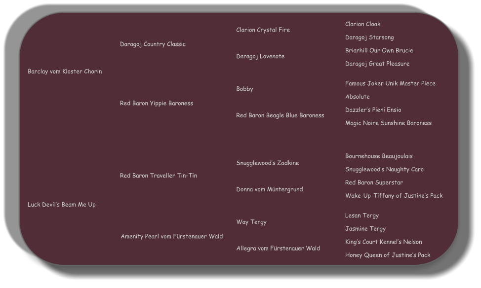 Clarion Cloak  Daragoj Starsong  Briarhill Our Own Brucie  Daragoj Great Pleasure   Famous Joker Unik Master Piece  Absolute  Dazzlers Pieni Ensio  Magic Noire Sunshine Baroness Bournehouse Beaujoulais  Snugglewoods Naughty Caro  Red Baron Superstar  Wake-Up-Tiffany of Justines Pack   Lesan Tergy  Jasmine Tergy  Kings Court Kennels Nelson  Honey Queen of Justines Pack Clarion Crystal Fire    Daragoj Lovenote Bobby    Red Baron Beagle Blue Baroness Snugglewoods Zadkine    Donna vom Mntergrund Way Tergy    Allegra vom Frstenauer Wald Daragoj Country Classic Red Baron Yippie Baroness Red Baron Traveller Tin-Tin Amenity Pearl vom Frstenauer Wald Luck Devils Beam Me Up Barclay vom Kloster Chorin