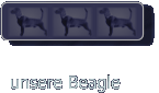 unsere Beagle