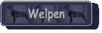 Welpen